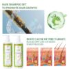 3-17.jpeg OEM Anti-Hair Fall Biotin Shampoo
