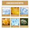 EELHOE Propolis Nicotinamide Photosensitive Essence